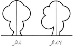 رسم توضيحي